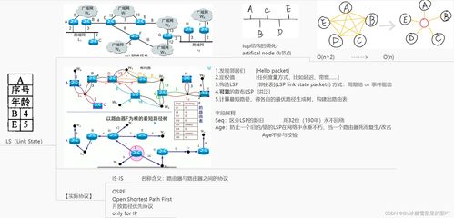 北郵計算機網絡技術開發課程網絡層學習筆記